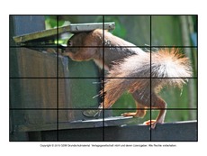 Puzzle-Eichhörnchen-5.pdf